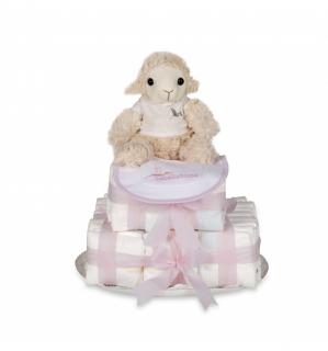 Biscuit Nappy Cake (Pink)(0-6months)