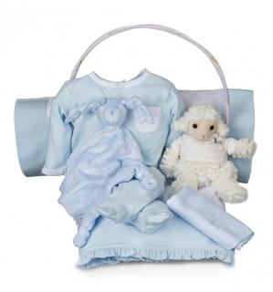 Essential Serenity Baby Gift Basket (Blue)(0-6 months)