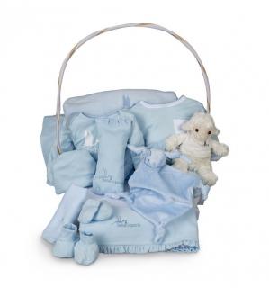 Complete Serenity Baby Gift Basket(Blue)(0-6 months)