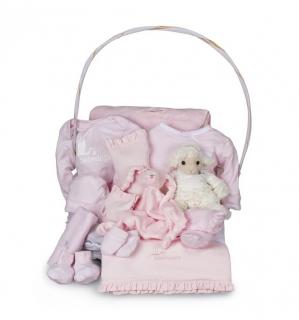 Complete Serenity Baby Gift Basket(Pink)(0-6 months)