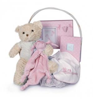 Memories Essential Baby Gift Basket(Pink)(0-6 months)