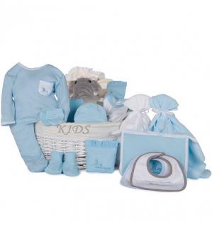 BebedeParis Complete Post-Hospital Baby Gift Basket (Blue)(0-6 months)