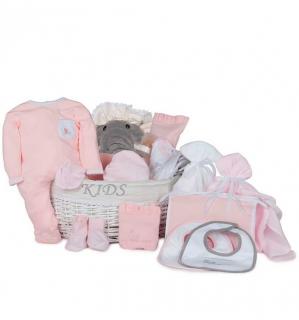 BebedeParis Complete Post-Hospital Baby Gift Basket (Pink)(0-6 months)