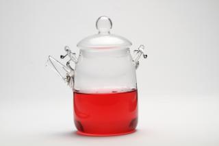 The Tea Merchant 300ml Glass Teapot