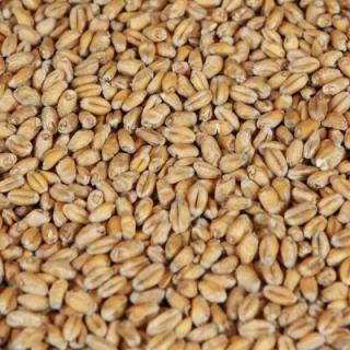 Wheat Malt Pale 3kg