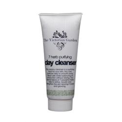 Purifying Cleanser 100ml