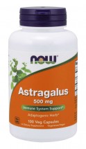 Astragalus 500 mg - 100 Capsules