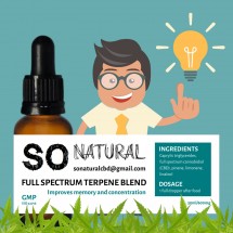 Full Spectrum Terpene Blend CBD Oil - 600mg/30ml - Memory