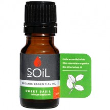 Organic Basil Essential Oil - 10ml