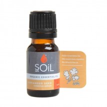 Essential Oil Coriander Seed - 10ml