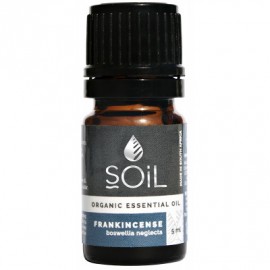 Frankincense Essential Oil - 5ml