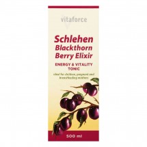 Schlehen Blackthorn Berry Elixir - 500ML