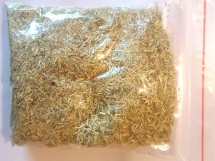 Cancer Bush (Sutherlandia) dried 50g Bag Tea cut