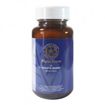 Chaste Berry 500mg - 40 Capsules
