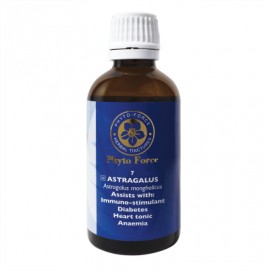 Astragalus - 50ml