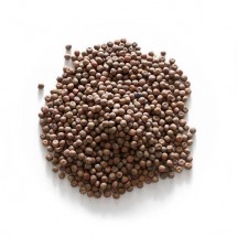 Sprouting Maple Peas - 100g