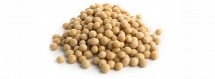 Soya Beans    - 100g