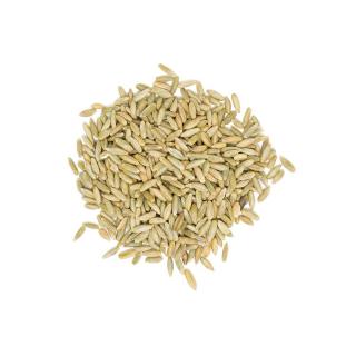 Rye Kernels - 500g