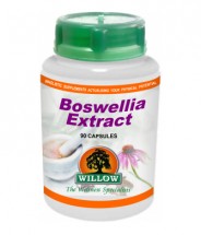 Boswellia Extract - 90 Capsules