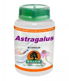 Astragalus - 50 Capsules