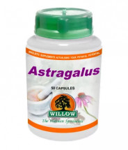 Astragalus - 50 Capsules