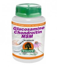 Glucosamine / Chondrotin / MSM - 100 Capsules