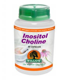 Inositol-Choline - 60 Capsules