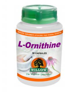 L-Ornithine - 50 Capsules