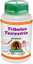 Tribulus Terrestris - 60 Capsules
