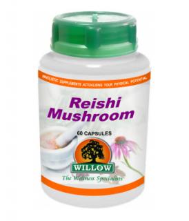 Reishi Mushroom - 60 Capsules