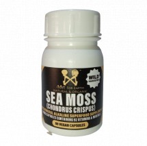 Sea Moss Vegan 500mg - 60 Capsules
