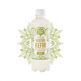 Apple Ginger Water Kefir 330ml