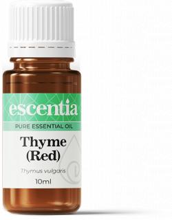 Thyme (Red) Essential Oil 10ml