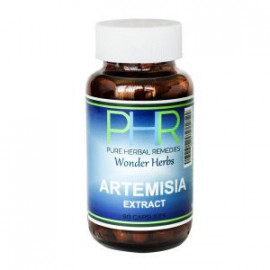 Artemisia Extract 90 capsules