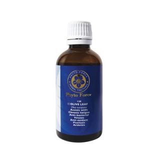 OLIVE LEAF 50ML - Tincture