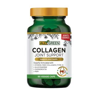 Collagen Joint Support 60