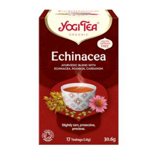 Echinacea 17tb